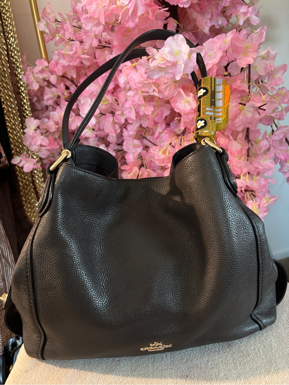 Fall Brown Coach chuncky handbag